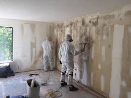 Best Mold Damage Restoration  in Ansonia, CT